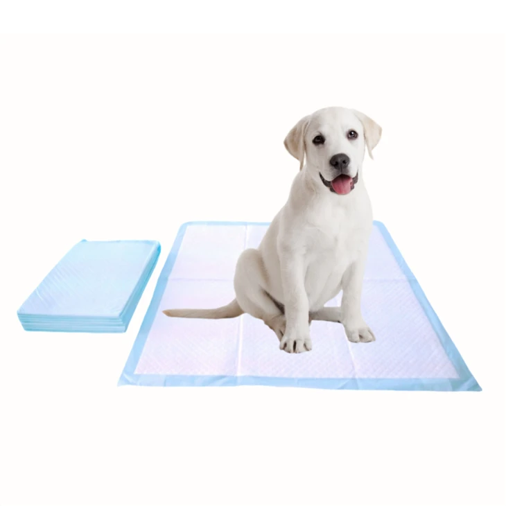 Anti-Kaubare Einweg-Hygienematten, Hunde-Pipi-Pads