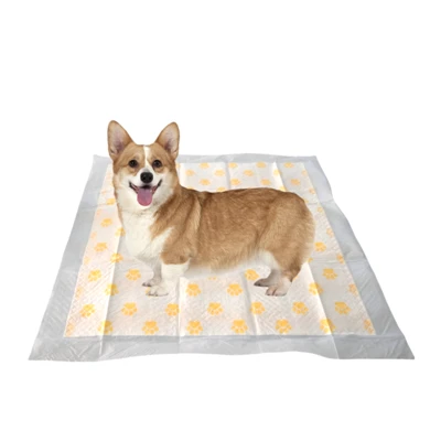 Gesundheitsüberwachung Einweg-PH-Test-Pipi-Pads für Hunde