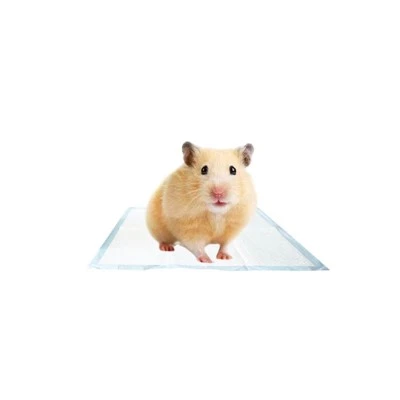 Hushet Mini 25 * 25 cm Haustier Urinpolster